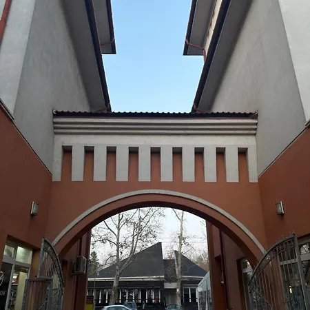 Luna Blossom *